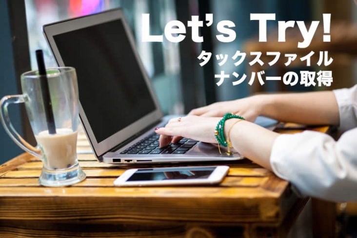 タックスファイルナンバー　取得マニュアルとよくある失敗集