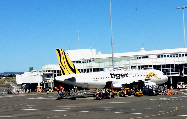 tigerair