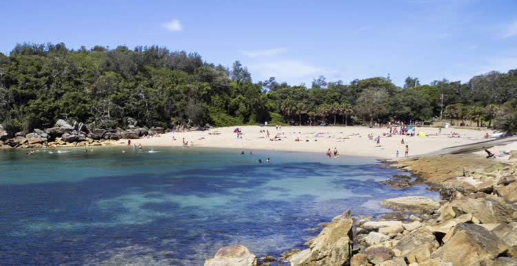 shelly beach