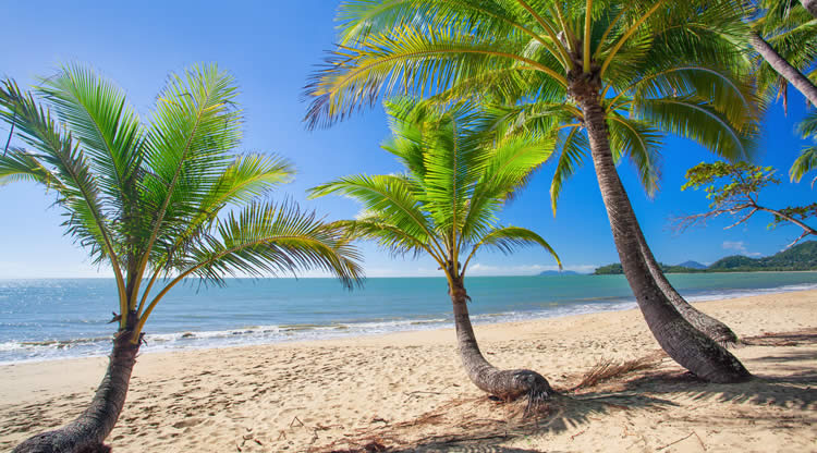 palmcove