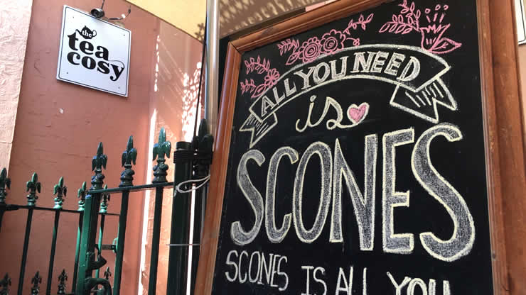 allyouneedisscone