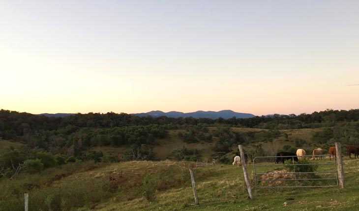 eungella