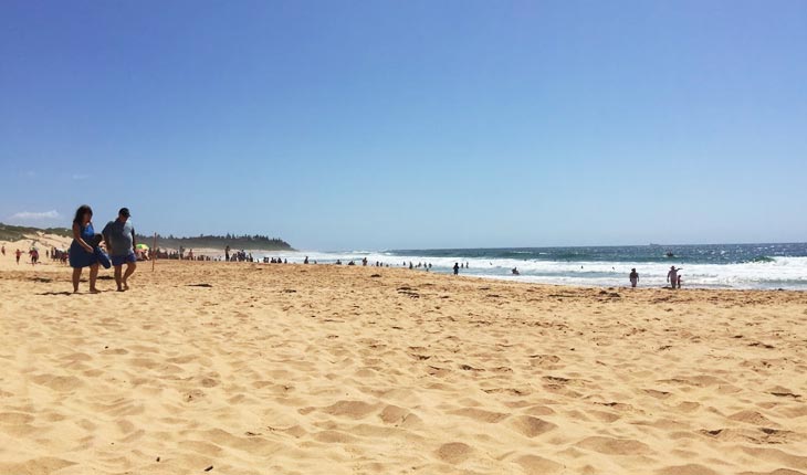 shelly-beach